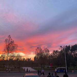 91在线视频免费看
