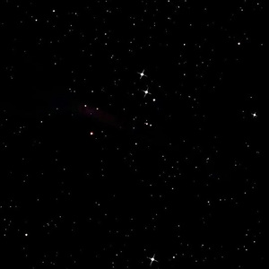 91在线视频免费看
