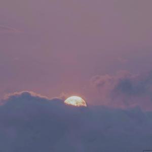 91在线视频免费看
